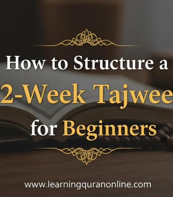 How to Structure a 12-Week Tajweed Course for Beginners