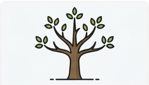 Online Islamic Courses